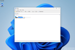 Windows 11 Desktop - RidNacs Homepage